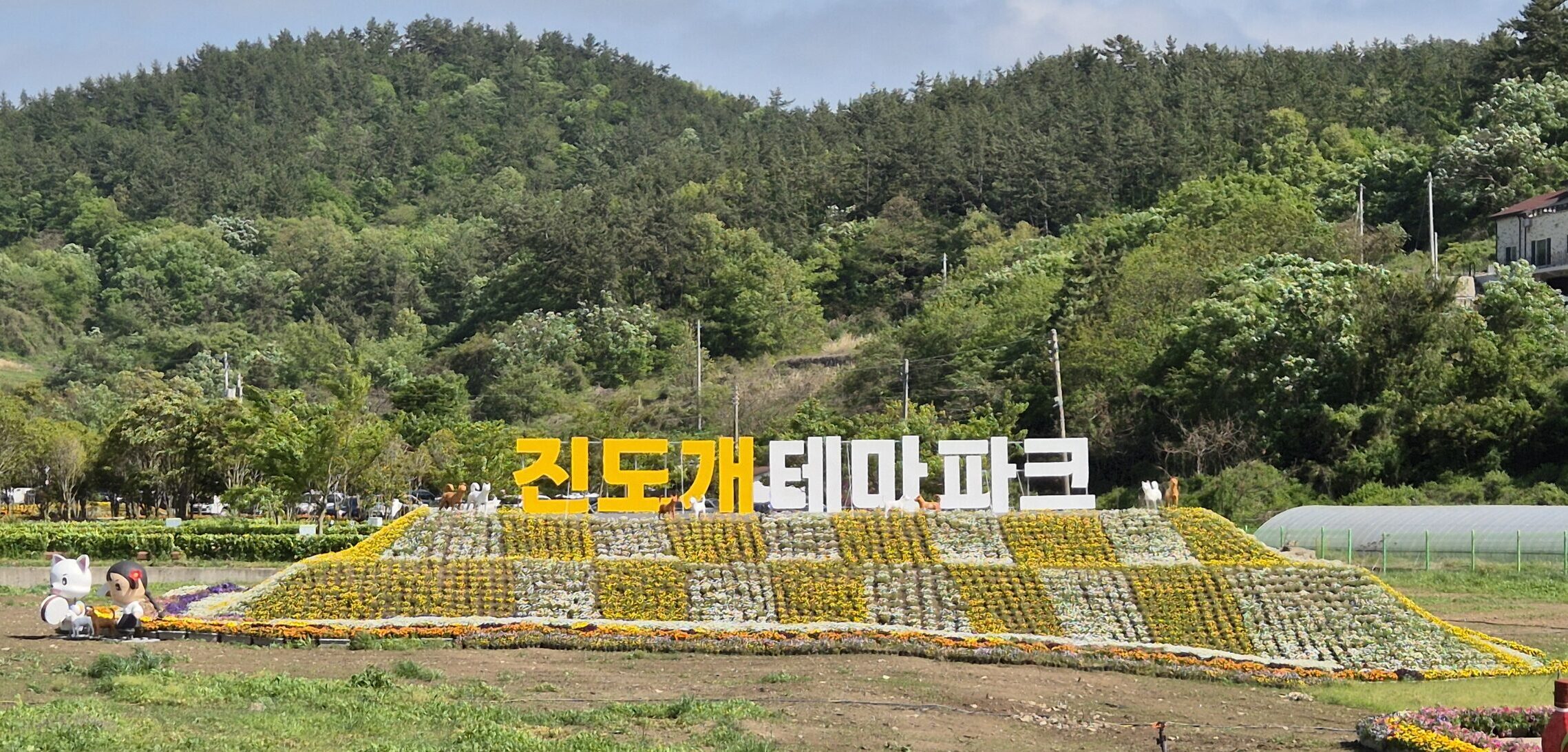 진도개테마파크 홍보관(진도개 페스티벌) 방문